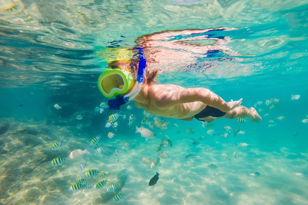 Snorkelling in the Shallows