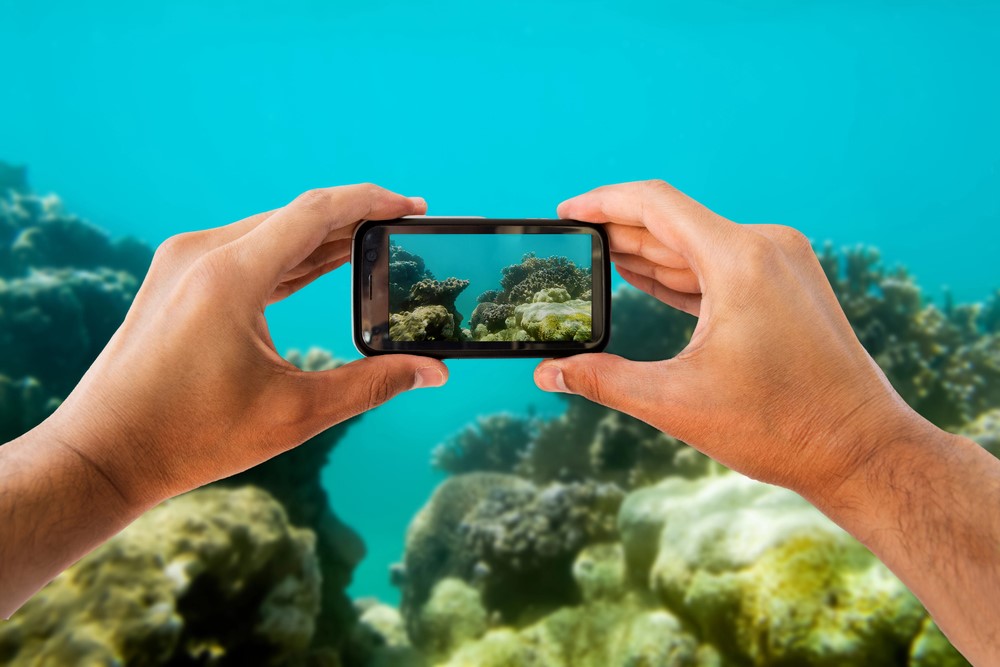 Mobile Phone Underwater 