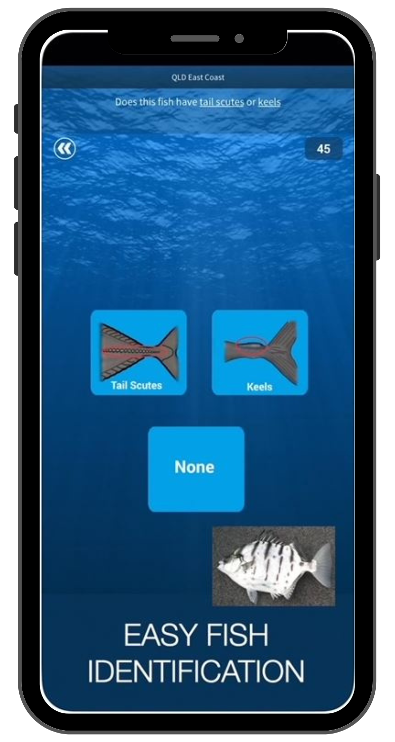 idFish App